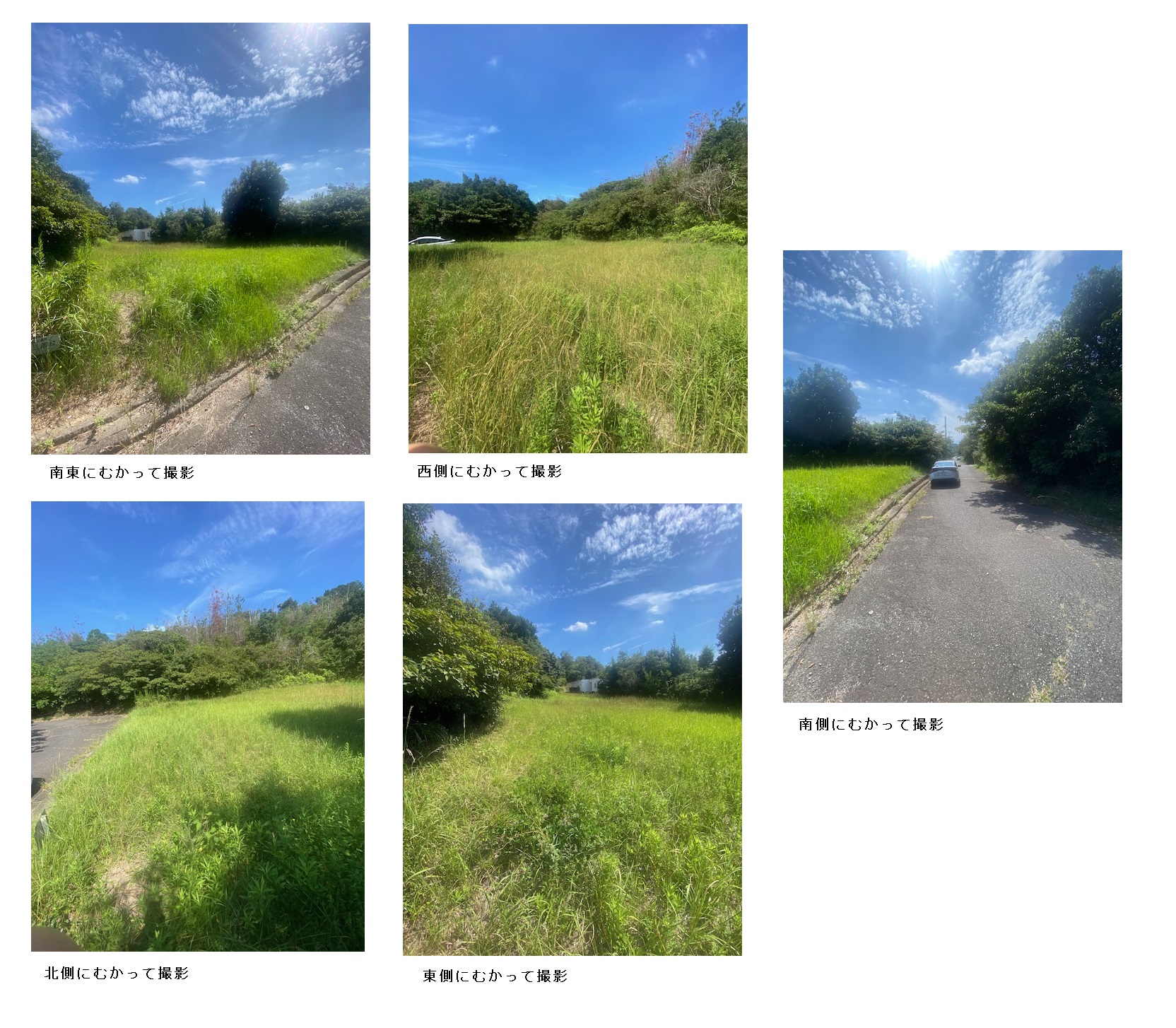 詳細へ